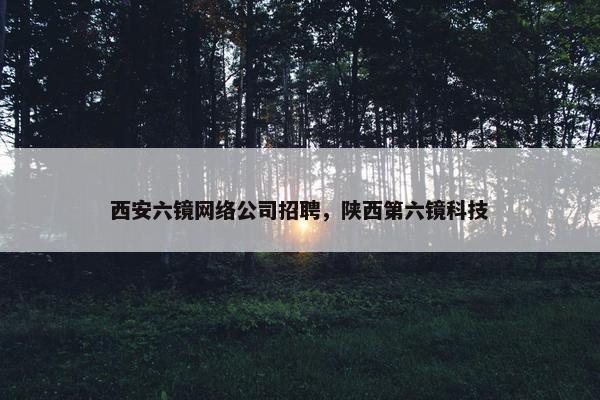 西安六镜网络公司招聘，陕西第六镜科技