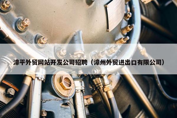 漳平外贸网站开发公司招聘（漳州外贸进出口有限公司）
