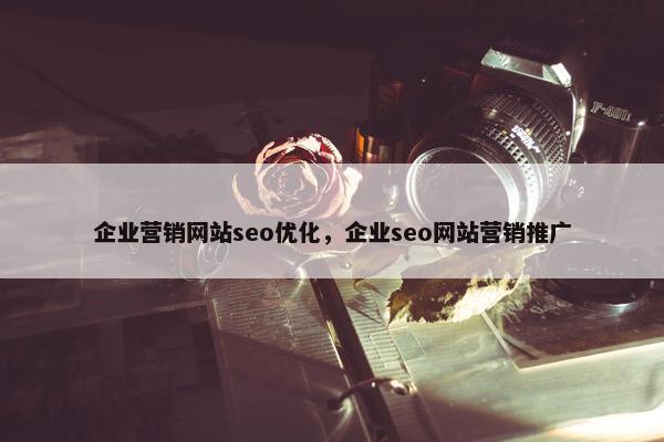 企业营销网站seo优化，企业seo网站营销推广