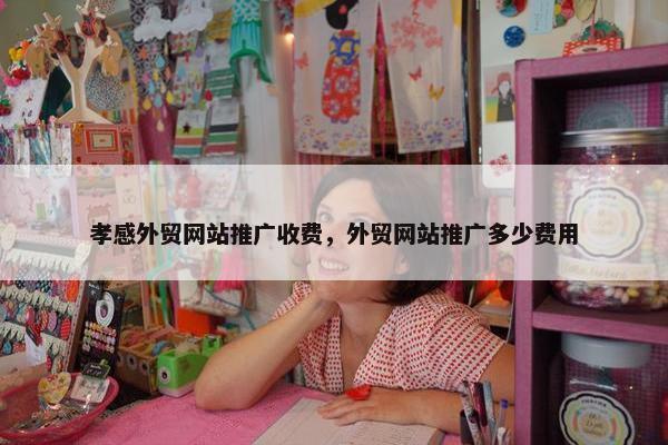 孝感外贸网站推广收费，外贸网站推广多少费用