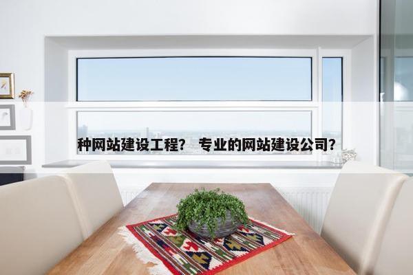 种网站建设工程？ 专业的网站建设公司？