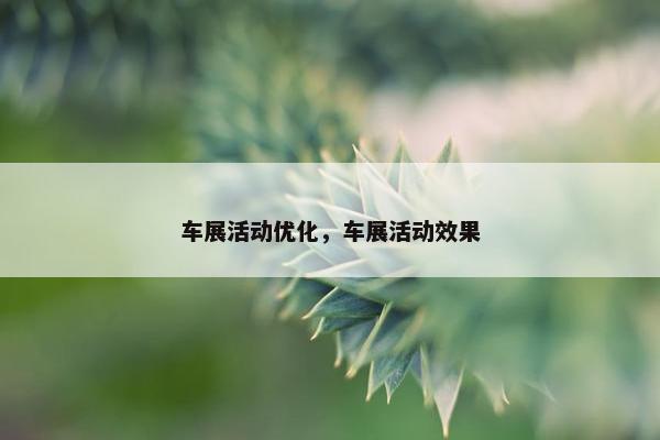 车展活动优化，车展活动效果
