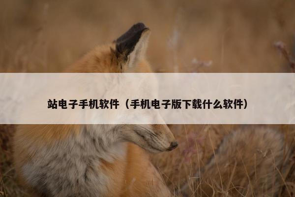 站电子手机软件（手机电子版下载什么软件）