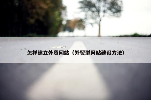 怎样建立外贸网站（外贸型网站建设方法）