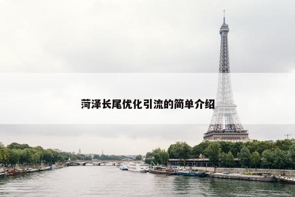 菏泽长尾优化引流的简单介绍