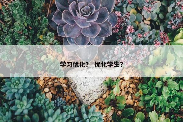 学习优化？ 优化学生？