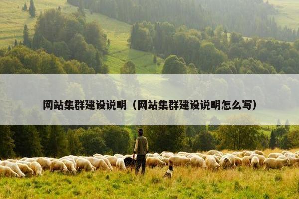 网站集群建设说明（网站集群建设说明怎么写）