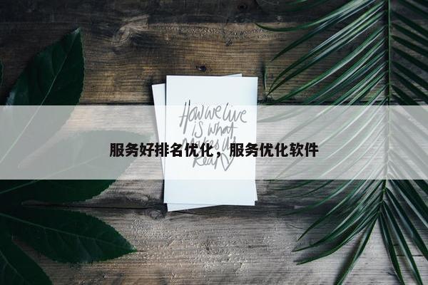 服务好排名优化，服务优化软件