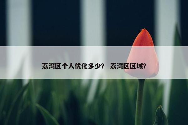 荔湾区个人优化多少？ 荔湾区区域？