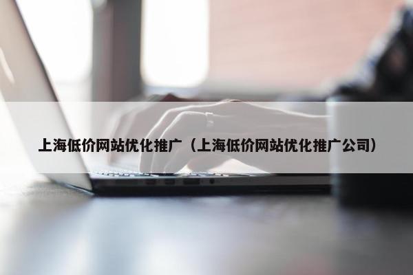 上海低价网站优化推广（上海低价网站优化推广公司）