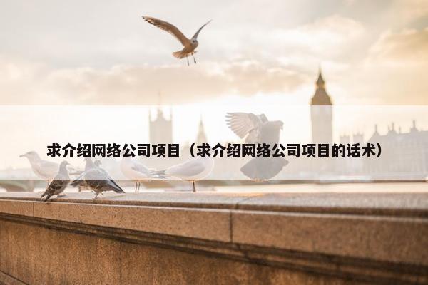 求介绍网络公司项目（求介绍网络公司项目的话术）