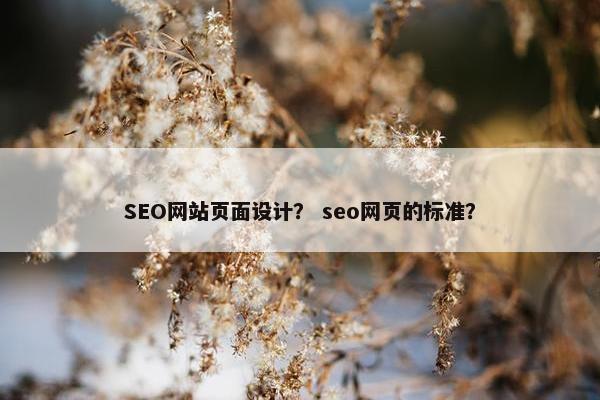 SEO网站页面设计？ seo网页的标准？