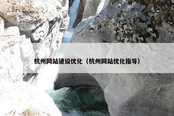 杭州网站建设优化（杭州网站优化指导）