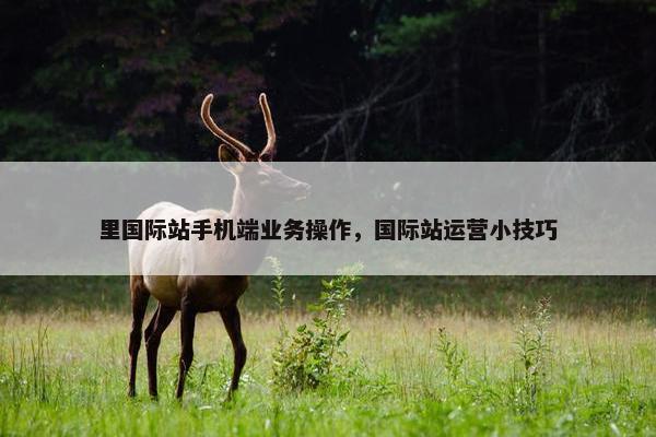 里国际站手机端业务操作，国际站运营小技巧