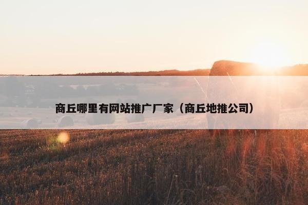 商丘哪里有网站推广厂家（商丘地推公司）