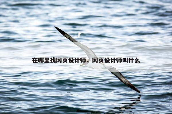 在哪里找网页设计师，网页设计师叫什么