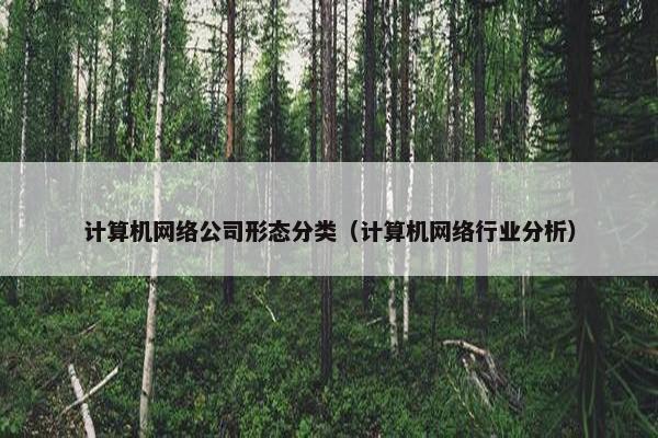 计算机网络公司形态分类（计算机网络行业分析）