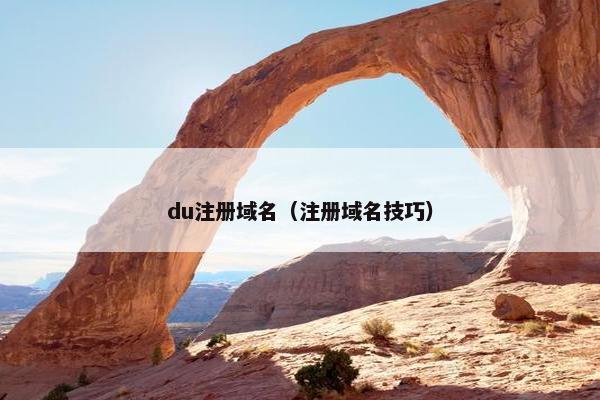 du注册域名（注册域名技巧）