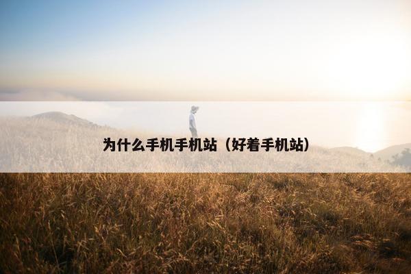 为什么手机手机站（好着手机站）