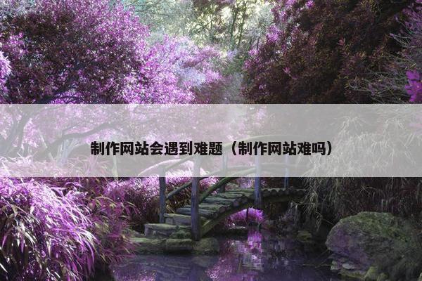 制作网站会遇到难题（制作网站难吗）