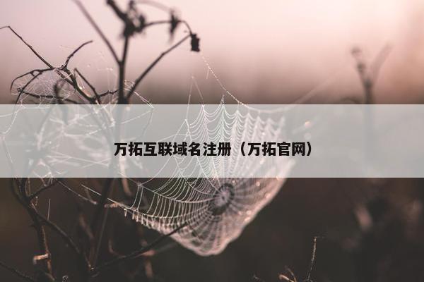 万拓互联域名注册（万拓官网）