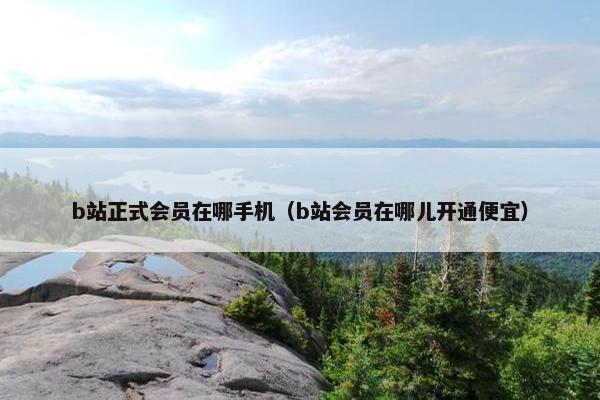 b站正式会员在哪手机（b站会员在哪儿开通便宜）