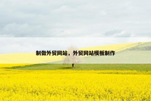 制做外贸网站，外贸网站模板制作
