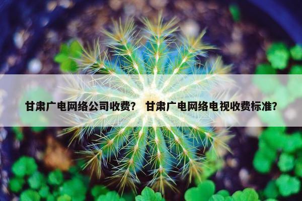 甘肃广电网络公司收费？ 甘肃广电网络电视收费标准？