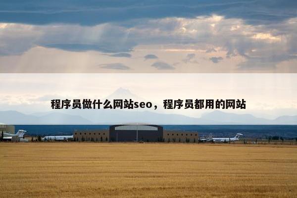 程序员做什么网站seo，程序员都用的网站