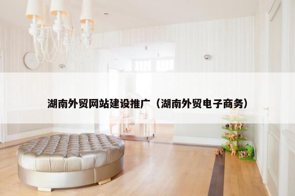 湖南外贸网站建设推广（湖南外贸电子商务）