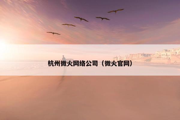 杭州微火网络公司（微火官网）