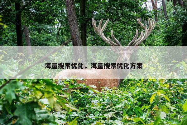 海量搜索优化，海量搜索优化方案