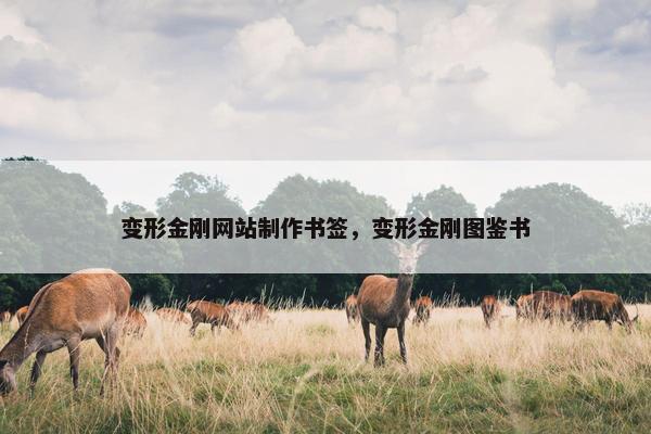 变形金刚网站制作书签，变形金刚图鉴书