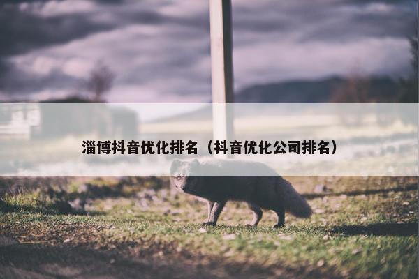 淄博抖音优化排名（抖音优化公司排名）