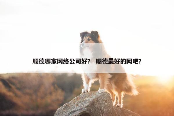 顺德哪家网络公司好？ 顺德最好的网吧？