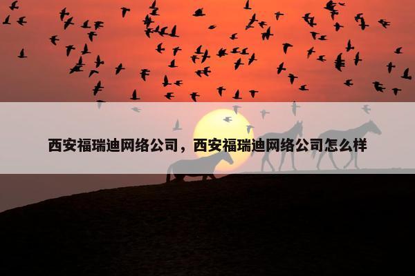 西安福瑞迪网络公司，西安福瑞迪网络公司怎么样