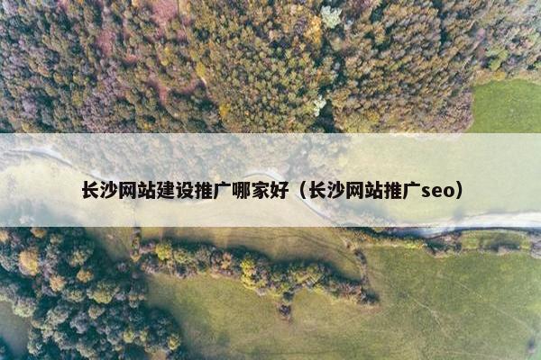 长沙网站建设推广哪家好（长沙网站推广seo）