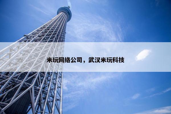 米玩网络公司，武汉米玩科技