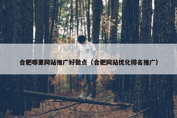 合肥哪里网站推广好做点（合肥网站优化排名推广）