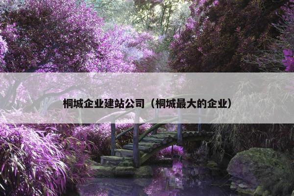 桐城企业建站公司（桐城最大的企业）