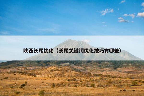 陕西长尾优化（长尾关键词优化技巧有哪些）