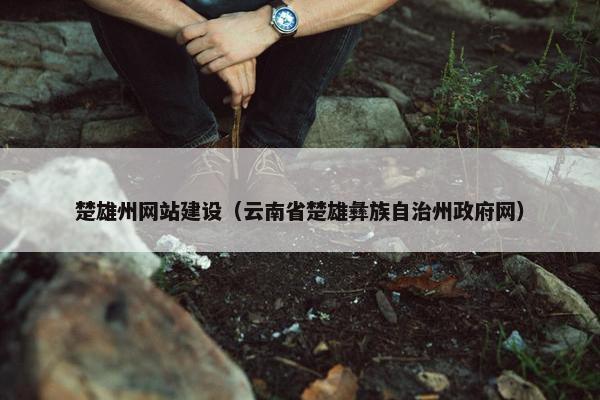 楚雄州网站建设（云南省楚雄彝族自治州政府网）
