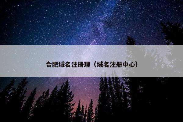 合肥域名注册理（域名注册中心）