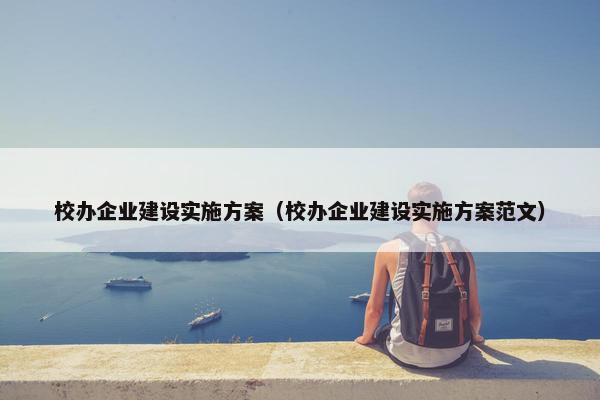 校办企业建设实施方案（校办企业建设实施方案范文）