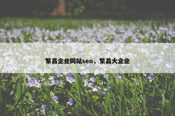 繁昌企业网站seo，繁昌大企业