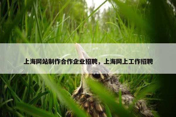 上海网站制作合作企业招聘，上海网上工作招聘