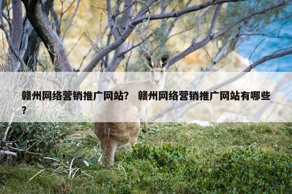 赣州网络营销推广网站？ 赣州网络营销推广网站有哪些？
