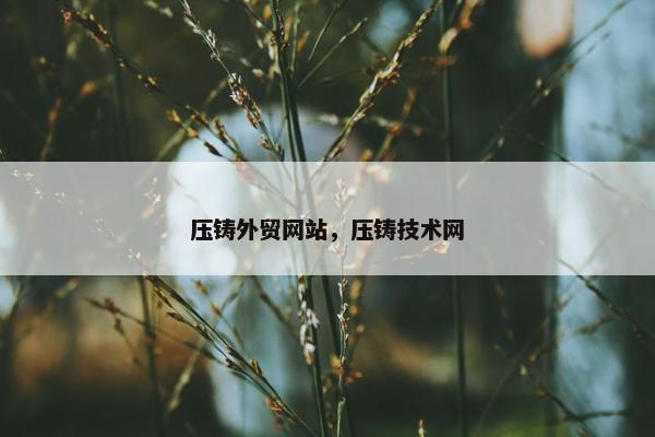 压铸外贸网站，压铸技术网