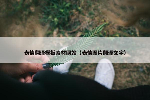 表情翻译模板素材网站（表情图片翻译文字）