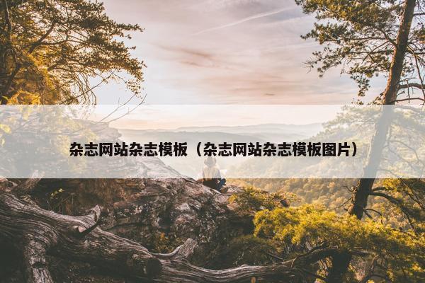 杂志网站杂志模板（杂志网站杂志模板图片）